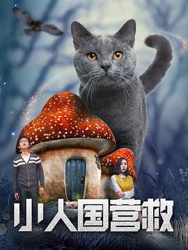 国产区视频在线观看