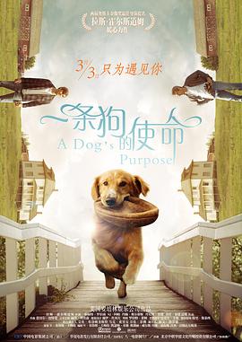亚洲国产日韩综合久久