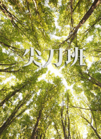 亚洲三级理论片