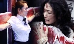 欧美视频观看一区
